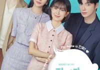 Download Drama Korea The Real Has Come! Subtitle Indonesia