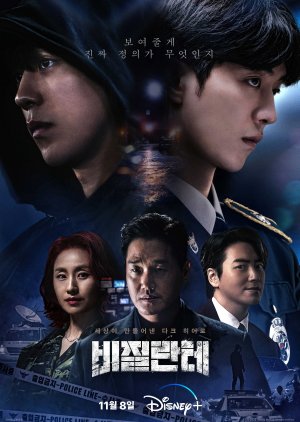 Download Drama Korea Vigilante Subtitle Indonesia